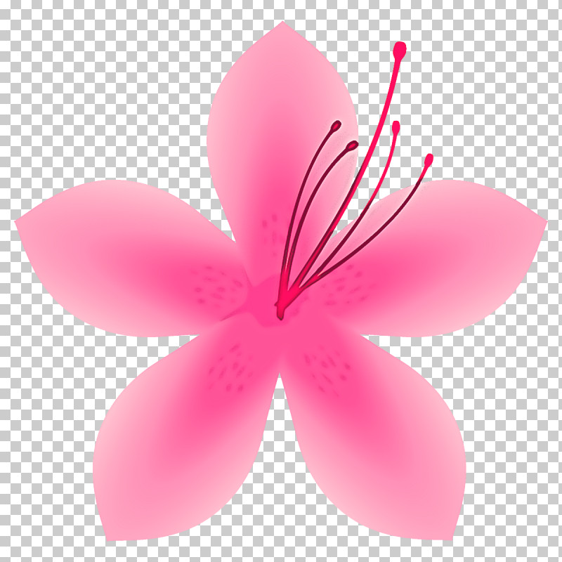 Petal Pink Flower Plant Hibiscus PNG, Clipart, Flower, Hibiscus, Petal, Pink, Plant Free PNG Download