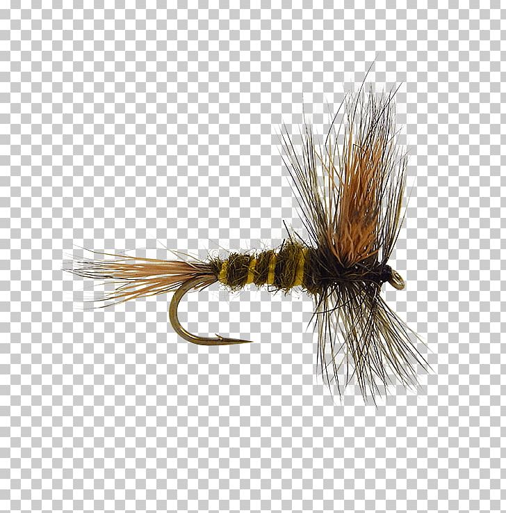 Artificial Fly Fly Fishing Royal Coachman Emergers PNG, Clipart, Artificial Fly, Fishing, Fishing Bait, Fly, Fly Fishing Free PNG Download