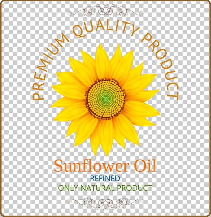 Common Sunflower Sunflower Oil PNG, Clipart, Abstract Pattern, Art, Botany, Cdr, Colour Free PNG Download