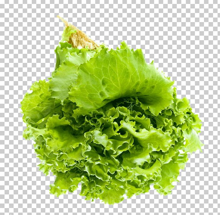 Lettuce Salad Portable Network Graphics Leaf Vegetable Vegetarian Cuisine PNG, Clipart, Computer Icons, Endive, Food, Leaf, Leaf Vegetable Free PNG Download