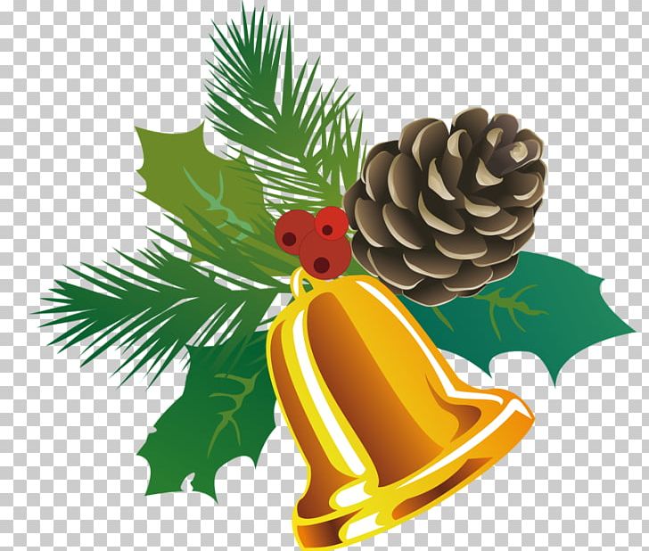 Christmas Ornament PNG, Clipart, Christmas, Christmas Decoration, Christmas Ornament, Color, Conifer Free PNG Download
