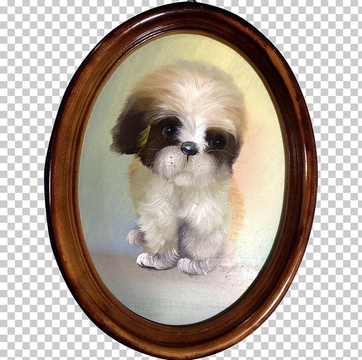 Shih Tzu Chinese Imperial Dog Puppy Dog Breed Toy Dog PNG, Clipart, Adorable, Animal, Animals, Breed, Canidae Free PNG Download