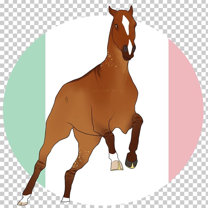Stallion Mare Foal Mustang Colt PNG, Clipart, Animal, Bridle, Colt, Foal, Halter Free PNG Download