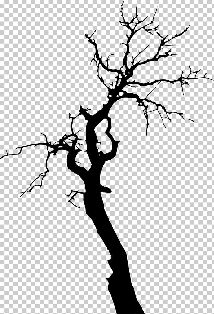 Tree Death Branch PNG, Clipart, Black And White, Branch, Death, Flower, Flowering Plant Free PNG Download