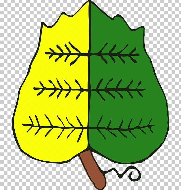 Leaf Food Tree Plant Stem PNG, Clipart, Area, Artwork, Food, Fruit, Green Free PNG Download