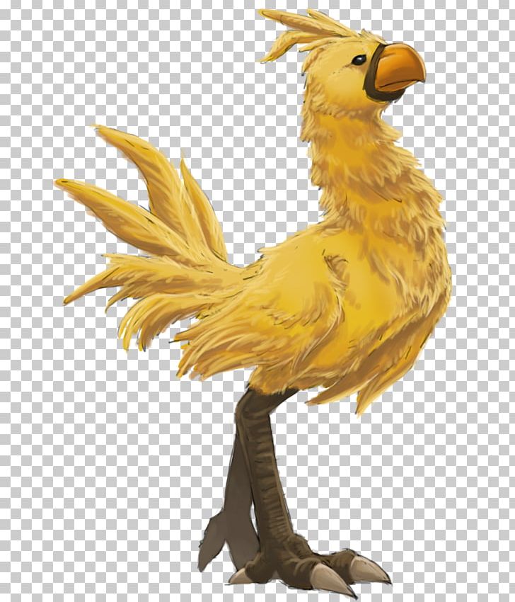 Final Fantasy XIII Final Fantasy XV Final Fantasy XIV Final Fantasy VII Cloud Strife PNG, Clipart, Beak, Bird, Chicken, Chocobo, Cloud Strife Free PNG Download