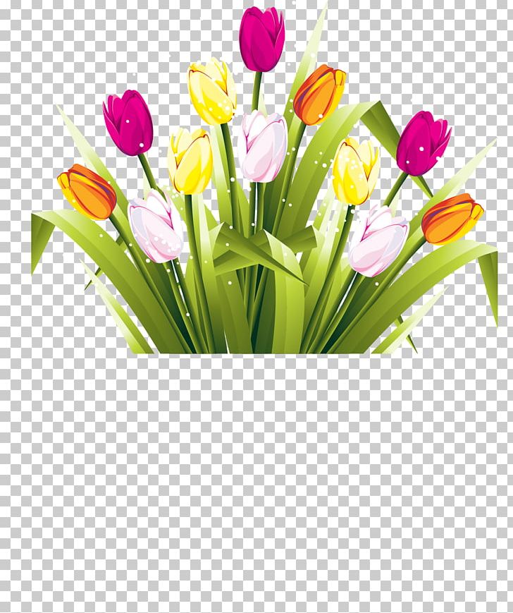 Tulip Graduation Ceremony Photography PNG, Clipart, Cut Flowers, Diploma, Encapsulated Postscript, Euclidean Vector, Flower Free PNG Download