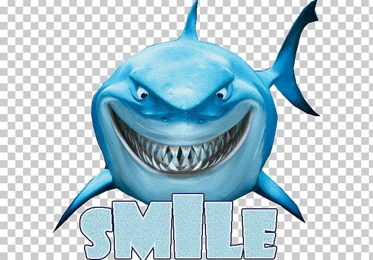 Bruce Marlin Drawing Pixar PNG, Clipart, Bruce, Carcharhiniformes, Cartilaginous Fish, Cartoon, Electric Blue Free PNG Download