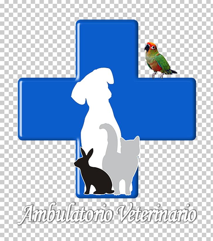 Veterinarian Cat Veterinary Medicine Dog Pet PNG, Clipart, Animals, Area, Artwork, Beak, Bird Free PNG Download