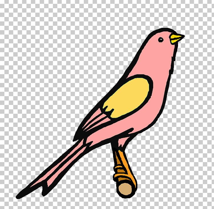 Finches Beak PNG, Clipart, Artwork, Beak, Bird, Cute Bird, Fauna Free PNG Download