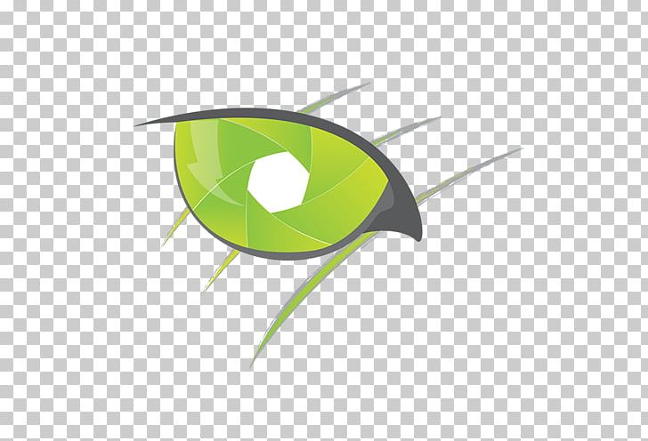 Leaf PNG, Clipart, Cat Eye, Green, Leaf, Line, Yellow Free PNG Download