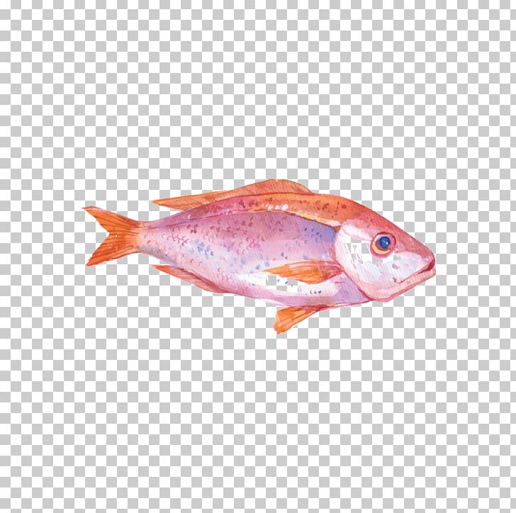 Oyster Watercolor Painting Seafood Illustration PNG, Clipart, Animals, Animal Source Foods, Animation, Cartoon, Fishes Free PNG Download