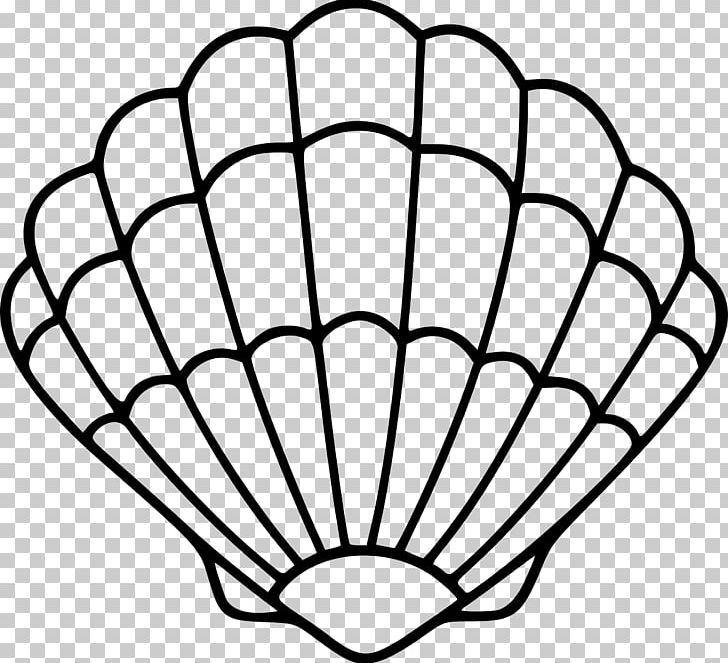 Seashell Mollusc Shell PNG, Clipart, Angle, Animals, Area, Autocad Dxf, Black And White Free PNG Download
