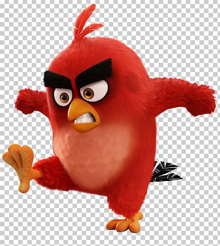 Bird Film Youtube Animation Png Clipart Angry Birds Angry