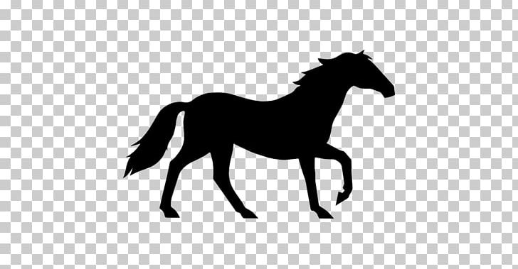 Mustang Equestrian PNG, Clipart, Black, Col, Collection, Flaticon, Foal Free PNG Download