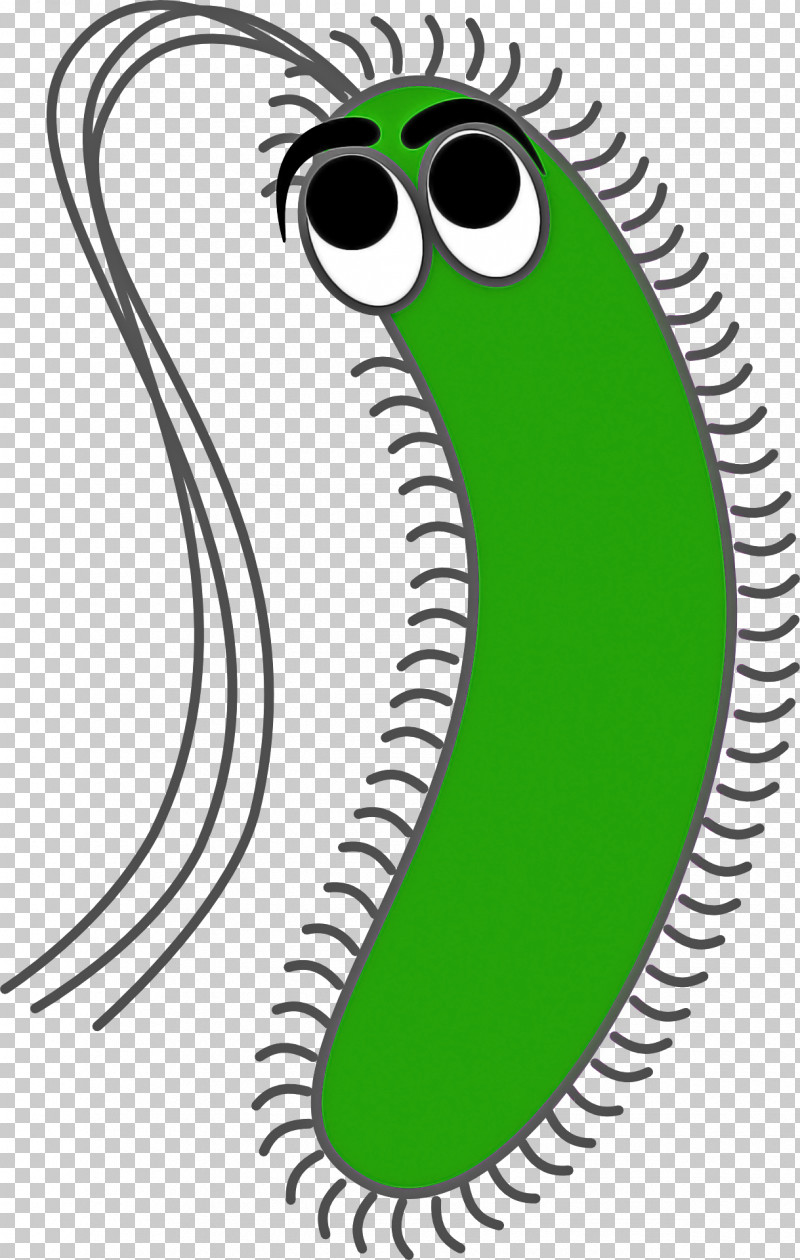 Green Head Mouth Line Art PNG, Clipart, Green, Head, Line Art, Mouth Free PNG Download