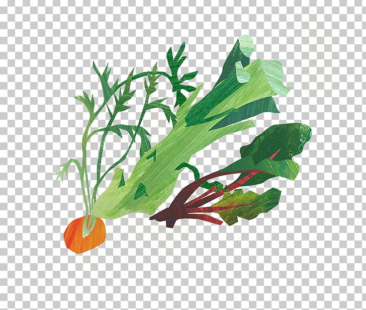 Chard Spring Greens Herb Radish Leaf PNG, Clipart, Aquarium, Aquarium Decor, Chard, Crunchy, Food Free PNG Download
