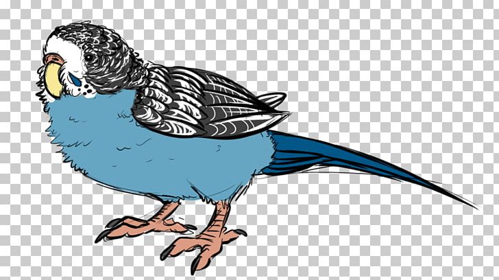 Macaw Parakeet Feather Beak PNG, Clipart, Animal, Animal Figure, Animals, Beak, Bird Free PNG Download