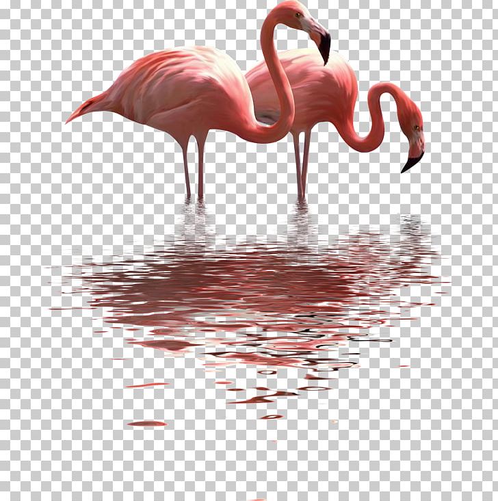 Paper Clip Painting Flamingo PNG, Clipart, Acrylic Paint, Art, Beak, Bird, Flamingo Free PNG Download