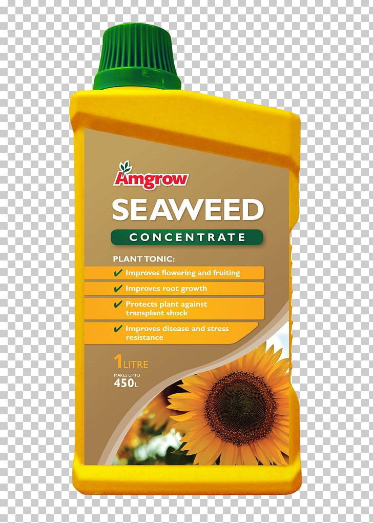 Seaweed Fertilisers Liquid Bullwhip Kelp PNG, Clipart, Acid, Fertilisers, Garden, Harvest, Humus Free PNG Download