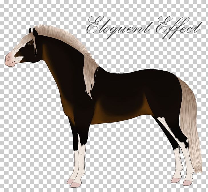 Stallion Mustang Mare Colt Halter PNG, Clipart,  Free PNG Download