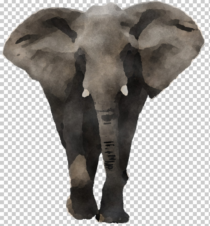 Indian Elephant PNG, Clipart, African Elephant, Animal Figure, Elephant, Fur, Indian Elephant Free PNG Download