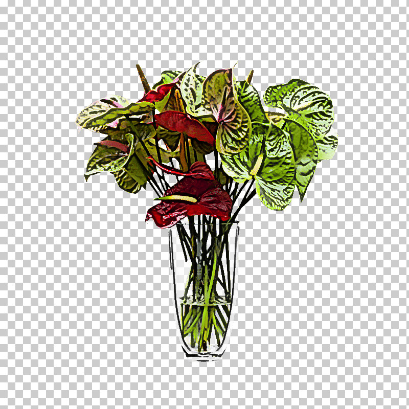 Flower Plant Anthurium Flowerpot Cut Flowers PNG, Clipart, Anthurium, Arum Family, Cut Flowers, Flower, Flowerpot Free PNG Download