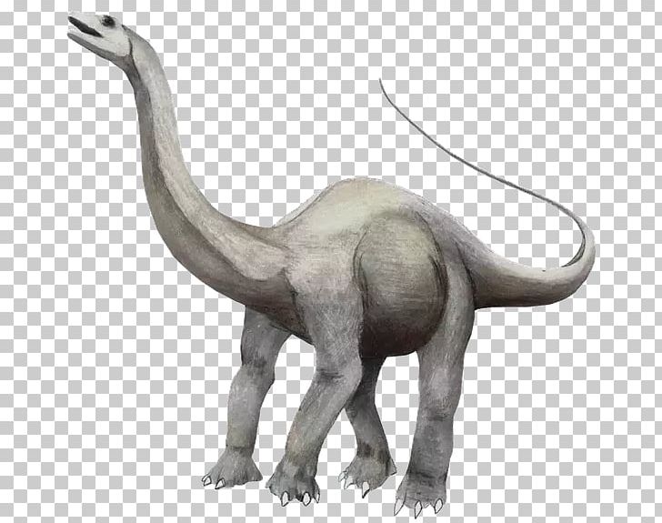 Apatosaurus Brontosaurus We're Back! A Dinosaur's Story Albertosaurus PNG, Clipart,  Free PNG Download