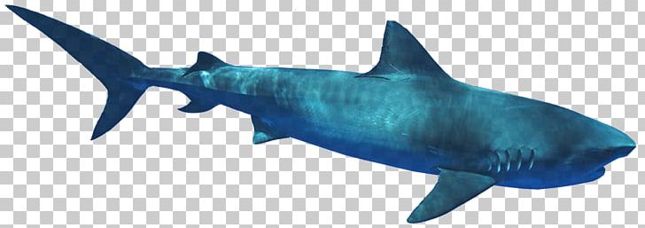 Great White Shark Fishing Reels Fishing Tackle Fishing Rods PNG, Clipart, Animal Figure, Cartilaginous Fish, Deeper Fishfinder, Fin, Fish Free PNG Download