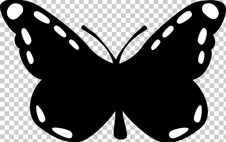 Butterfly PNG, Clipart, Artwork, Birdwing, Black, Black And White, Brush Footed Butterfly Free PNG Download