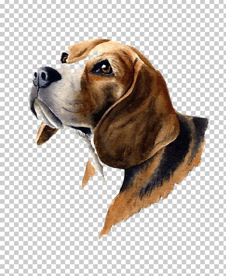 Brown Dog PNG, Clipart, Animal, Animals, Art, Artist, Basset Artesien Normand Free PNG Download