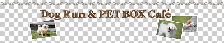 Product Design Paper Brand Font PNG, Clipart, Banner, Brand, Dog Run, Line, Paper Free PNG Download