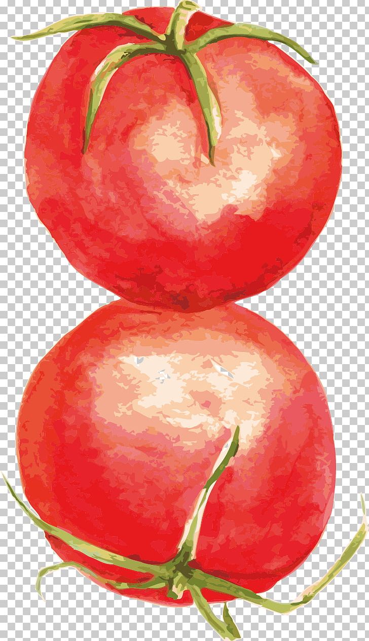 Tomato Food Computer File PNG, Clipart, Apple, Cherry Tomato, Fruit, Graphic Design, Gratis Free PNG Download