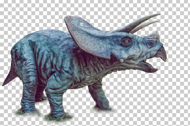 Triceratops Tyrannosaurus Spinosaurus