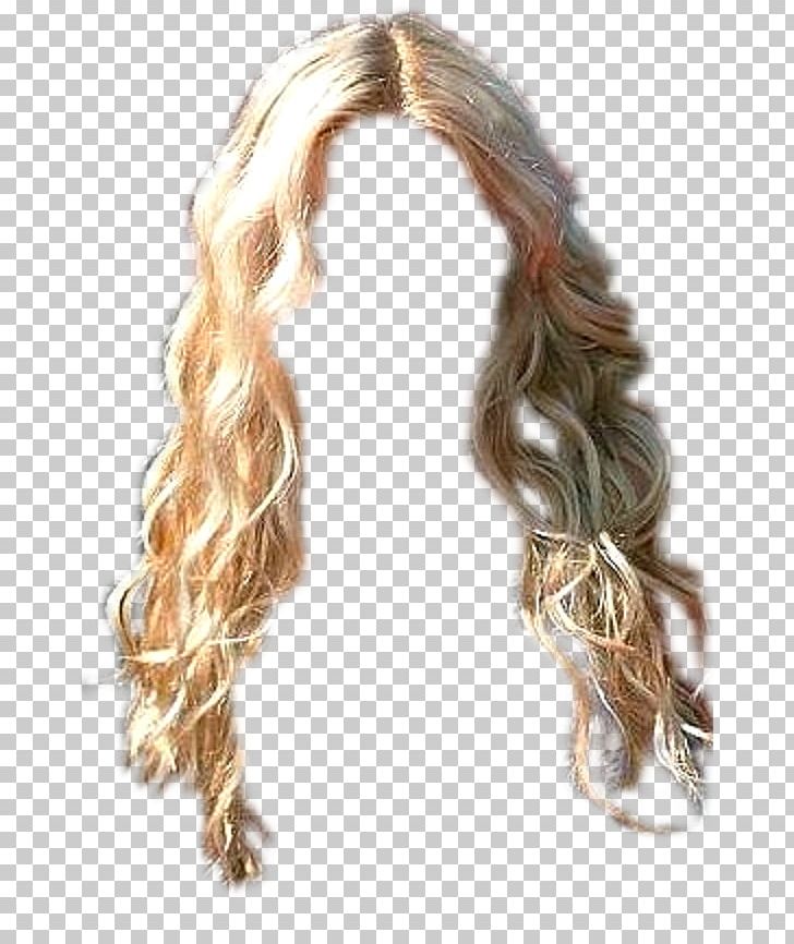 Wig Hair Coloring Brown Hair Ringlet Long Hair PNG, Clipart, Blond, Brown Hair, Exchange Rate, Hair, Hair Coloring Free PNG Download