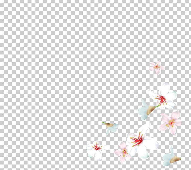 Cherry Blossom Desktop Flowering Plant ST.AU.150 MIN.V.UNC.NR AD PNG, Clipart, Blossom, Branch, Cherry, Cherry Blossom, Computer Free PNG Download