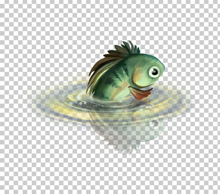 Fish PNG, Clipart, 3d Computer Graphics, Amphibian, Animals, Clip, Fauna Free PNG Download