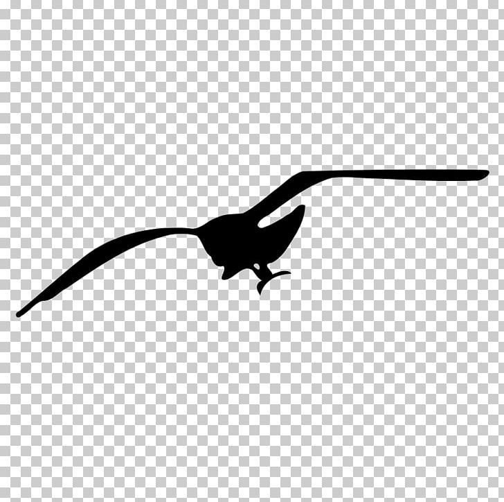 Gulls Drawing PNG, Clipart, Animals, Art, Beak, Bird, Black And White Free PNG Download