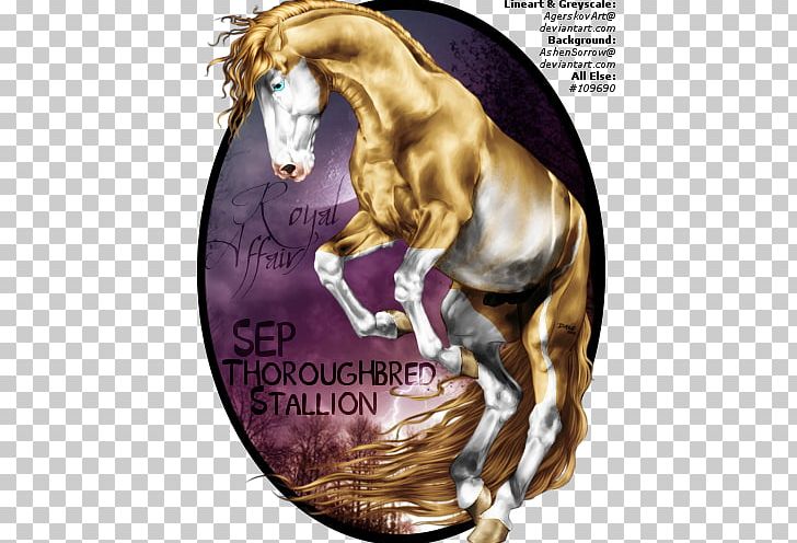 Mane Stallion Mustang Mare Colt PNG, Clipart, Animal, Art, Colt, Eventing, Filly Free PNG Download