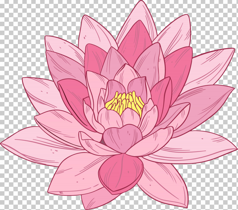 Bodhi Lotus Lotus PNG, Clipart, Aquatic Plant, Bodhi Lotus, Cut Flowers, Flower, Fragrant White Water Lily Free PNG Download