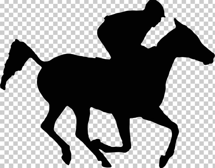 Arabian Horse Thoroughbred Horse Racing Silhouette PNG, Clipart, Animals, Arabian Horse, Black, Black And White, Bridle Free PNG Download