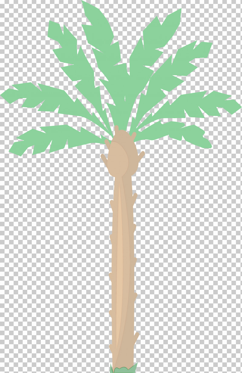 Asian Palmyra Palm Plant Stem Leaf Date Palm Flowerpot PNG, Clipart, Arab Symbol, Asian Palmyra Palm, Biology, Borassus, Date Palm Free PNG Download