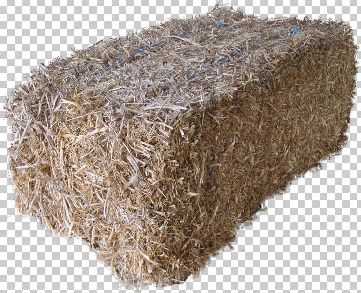 Angus Cattle Haystack Breed Straw PNG, Clipart, Angus Cattle, Beef, Breed, Hay, Haystack Free PNG Download