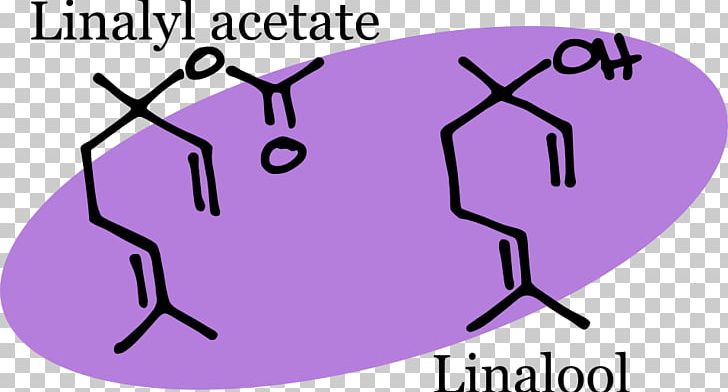 Lavender Oil Linalyl Acetate Chemical Compound Chemist PNG, Clipart,  Free PNG Download