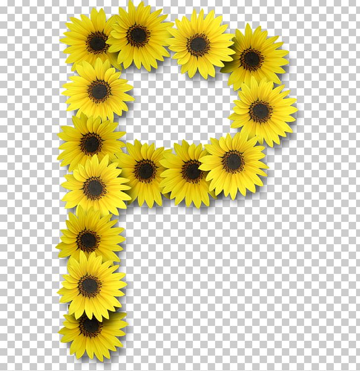 Letter Alphabet J PNG, Clipart, Alphabet, Common Sunflower, Daisy Family, Flower, Flowering Plant Free PNG Download