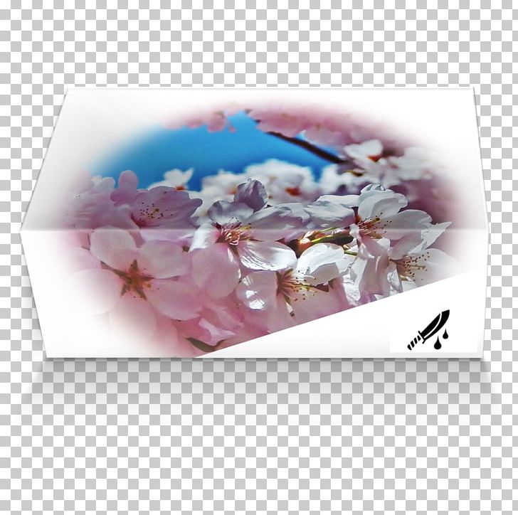 Petal Blossom Floral Design Flower Lilac PNG, Clipart, Blossom, Cherry, Cherry Blossom, Flirty Printing, Floral Design Free PNG Download