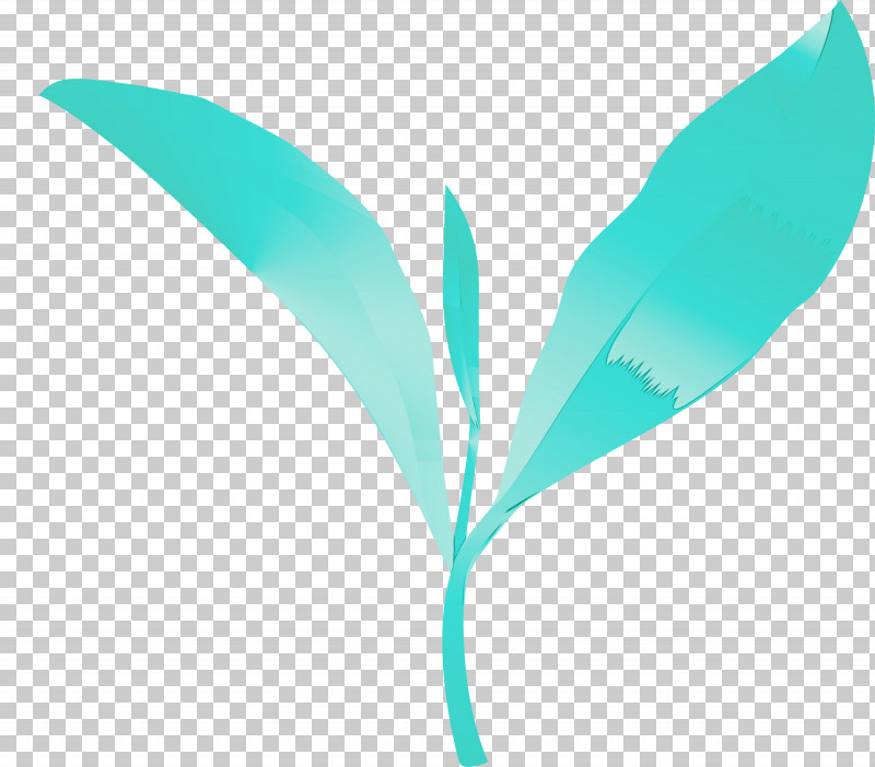 Feather PNG, Clipart, Aqua, Feather, Leaf, Logo, Paint Free PNG Download