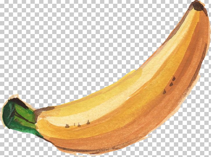 Banana Leaf Watercolor Painting PNG, Clipart, Banana, Banana Family, Banana Leaf, Computer Icons, Cooking Banana Free PNG Download