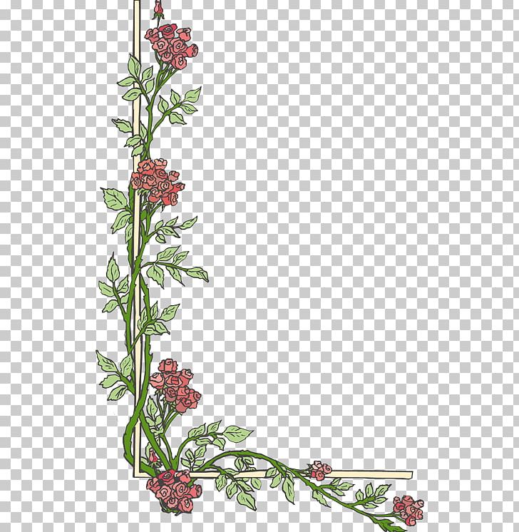 Border Flowers PNG, Clipart, Aquifoliaceae, Border, Border Flowers, Branch, Clip Free PNG Download