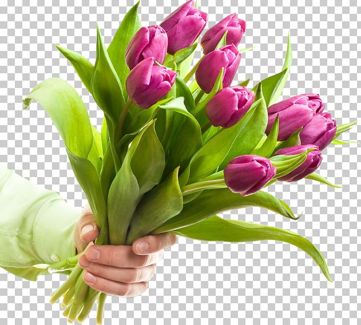 Cut Flowers Stock Photography Tulip Flower Bouquet PNG, Clipart, Cut Flowers, Floral Design, Floristry, Flower, Flower Arranging Free PNG Download